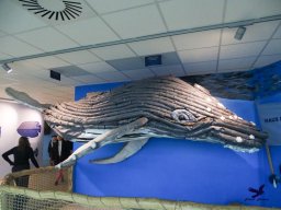 Haus des Meeres 4.02.2026